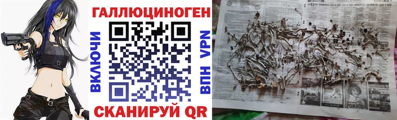 Галлюциногенные грибы Cubensis  Озёрск 